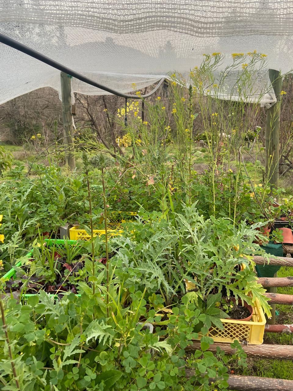 WhatsApp Image 2025 11 09 at 23.18.24 (1)