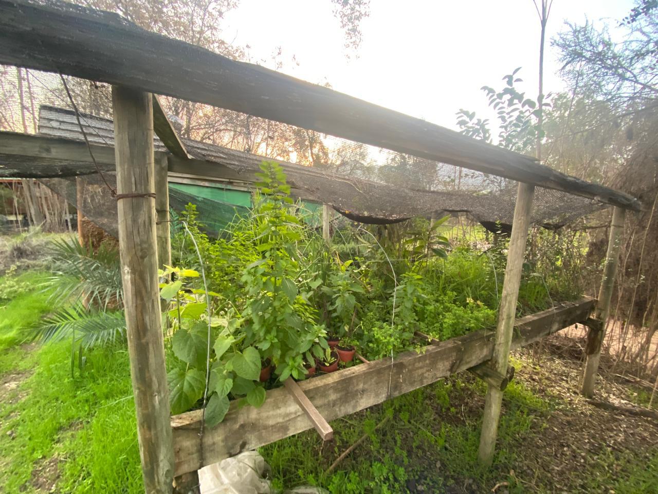 WhatsApp Image 2025 11 09 at 23.18.24 (3)