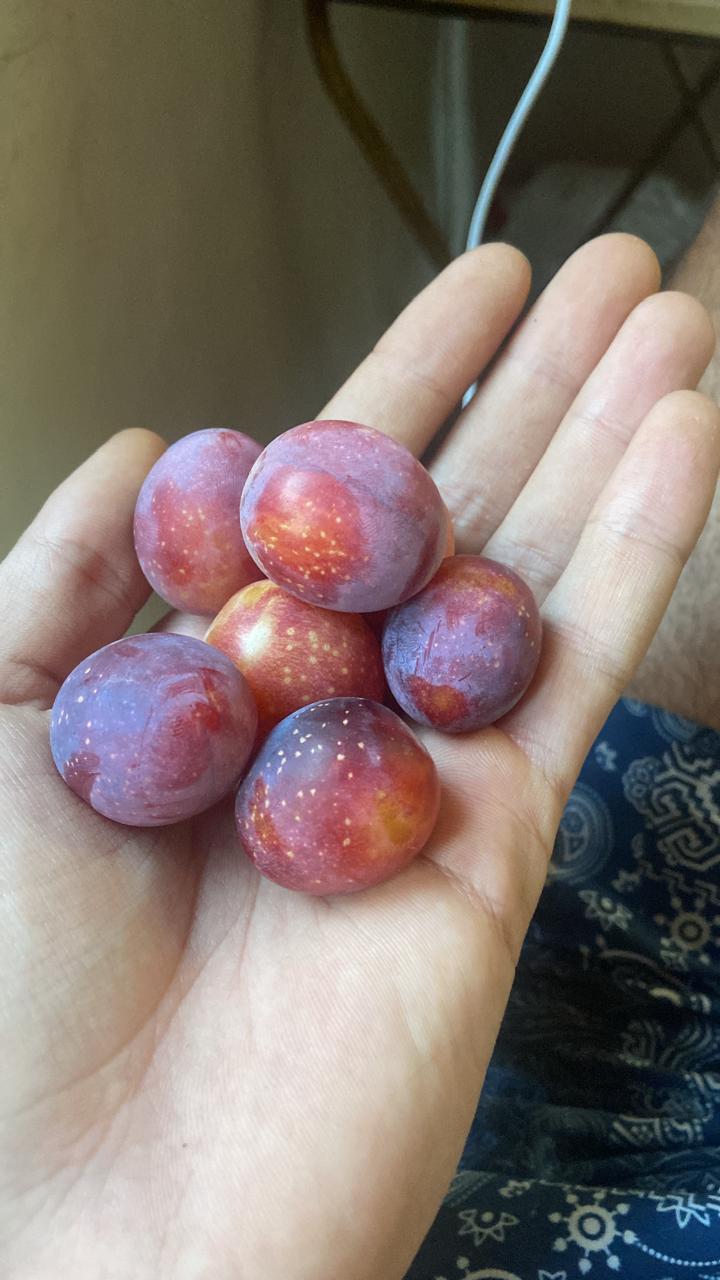 WhatsApp Image 2025 11 09 at 23.18.25 (2)