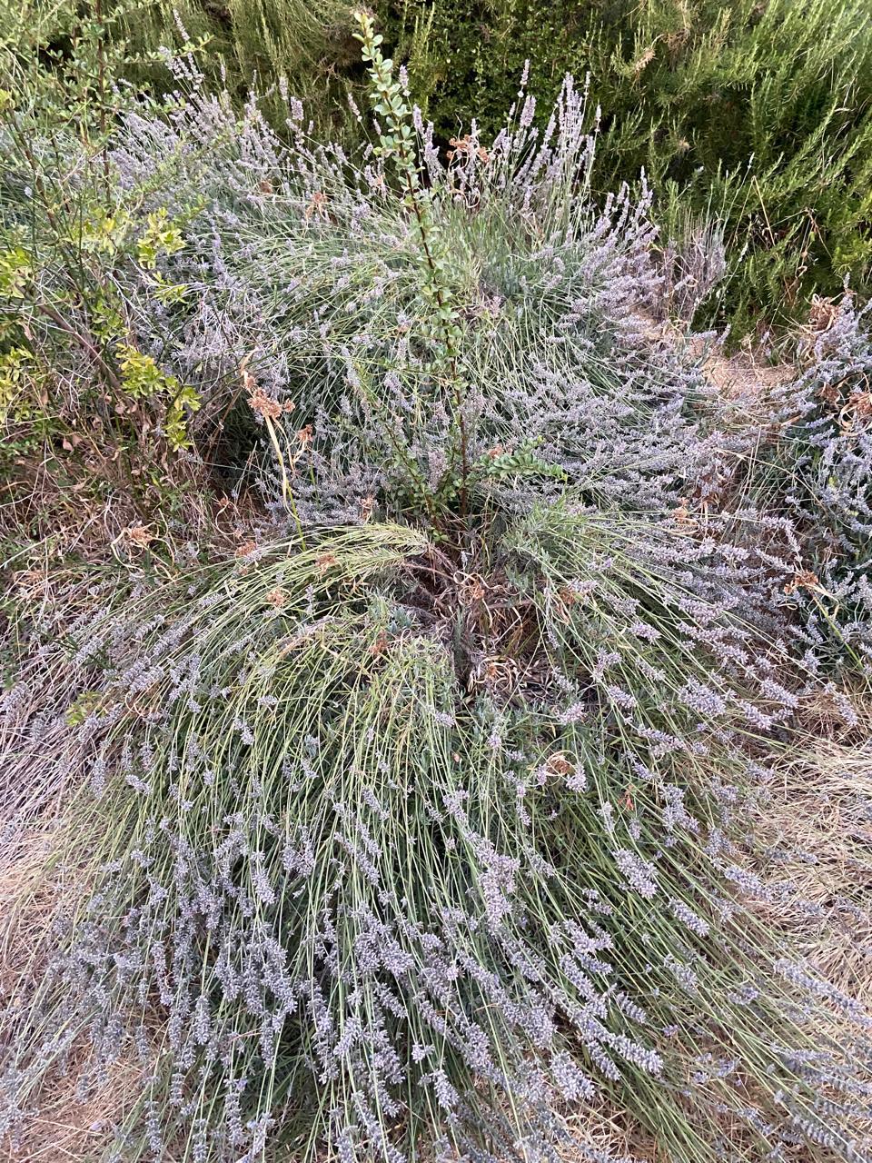 WhatsApp Image 2025 11 09 at 23.18.26 (2)