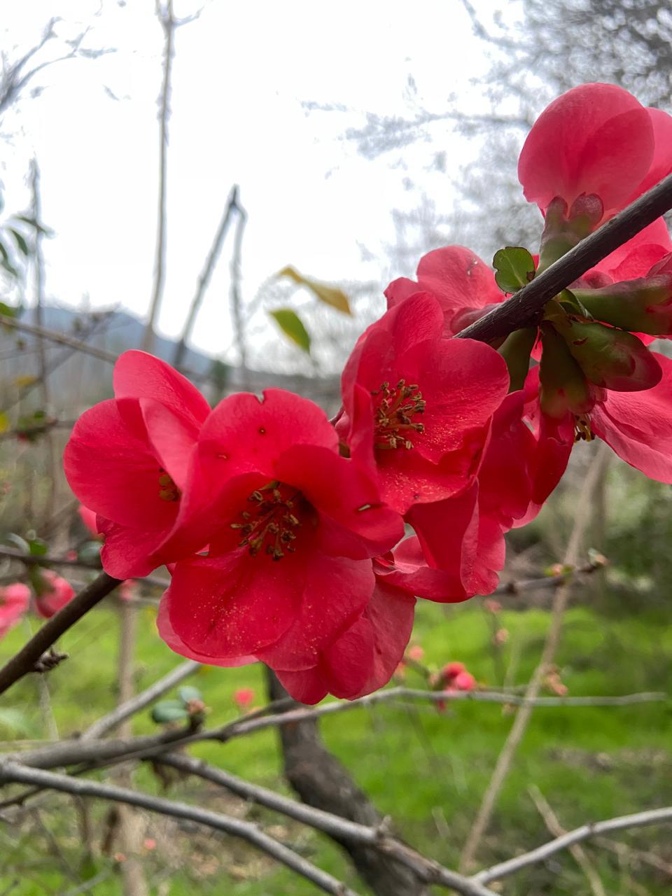 WhatsApp Image 2025 11 09 at 23.18.27 (1)