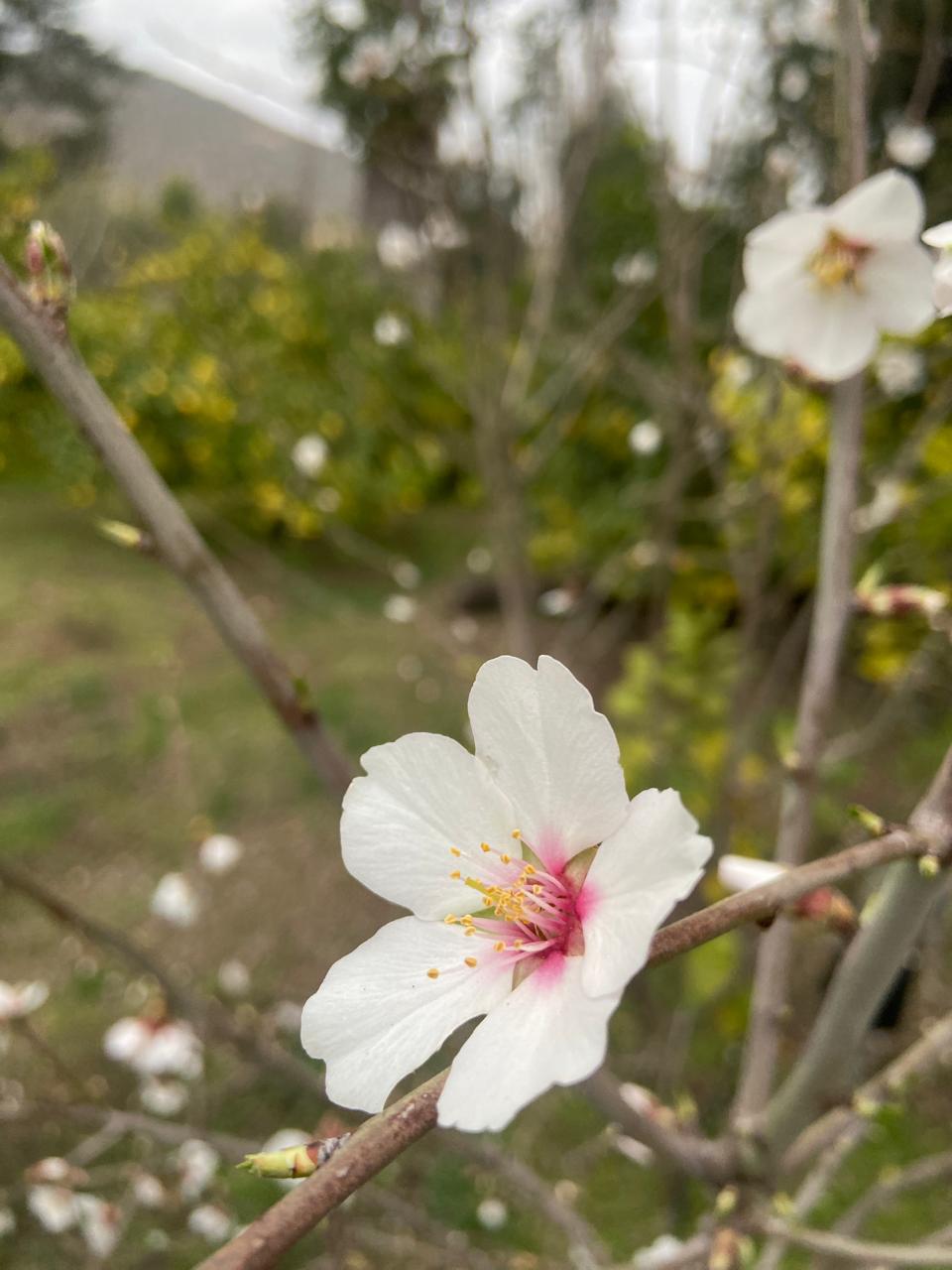 WhatsApp Image 2025 11 09 at 23.18.27 (2)