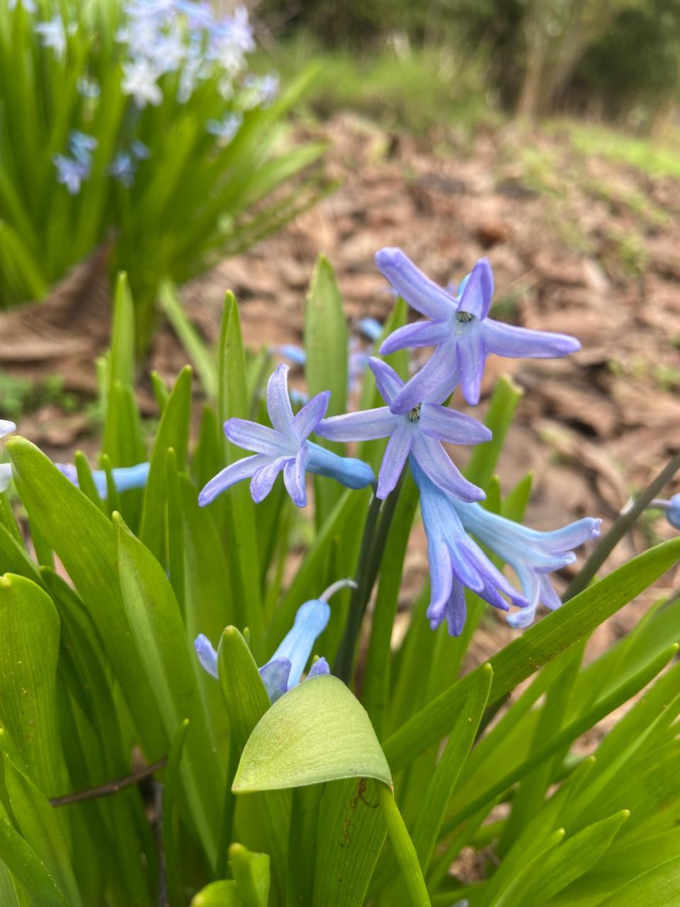 WhatsApp Image 2025 11 09 at 23.18.27 (3)