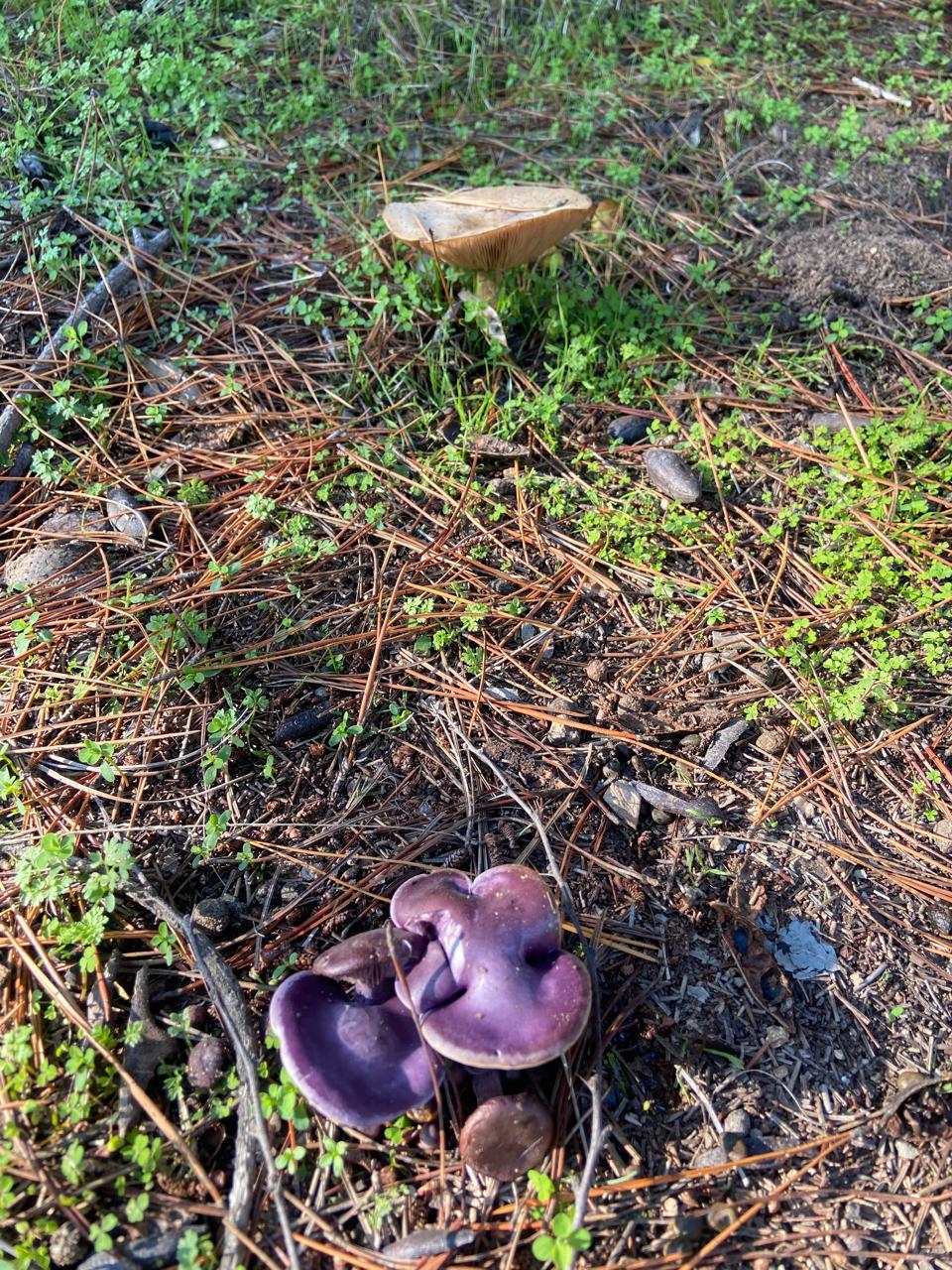 WhatsApp Image 2025 11 09 at 23.18.28 (2)