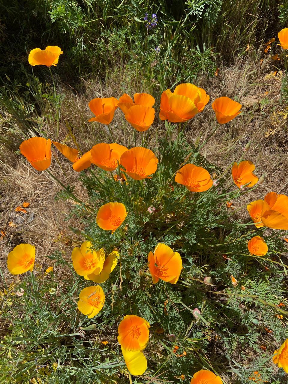 WhatsApp Image 2025 11 09 at 23.18.28